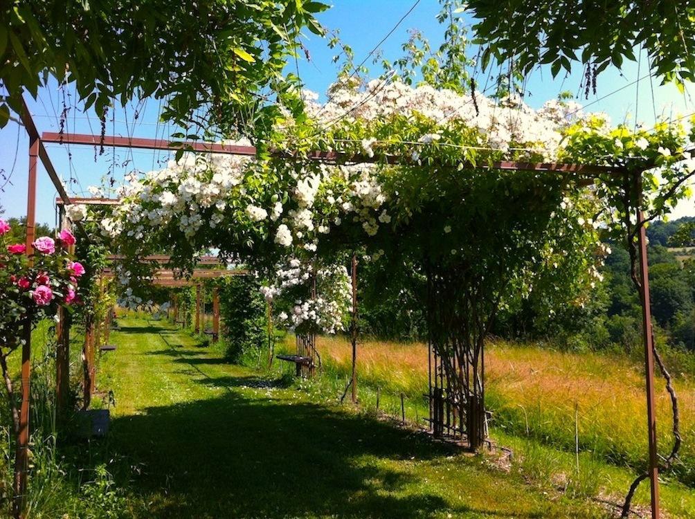 Mas Del Lum Bed & Breakfast Boussac  Eksteriør bilde